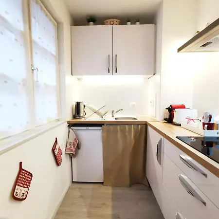 Apartman Au Kugelhopf Dore - Centre Historique *