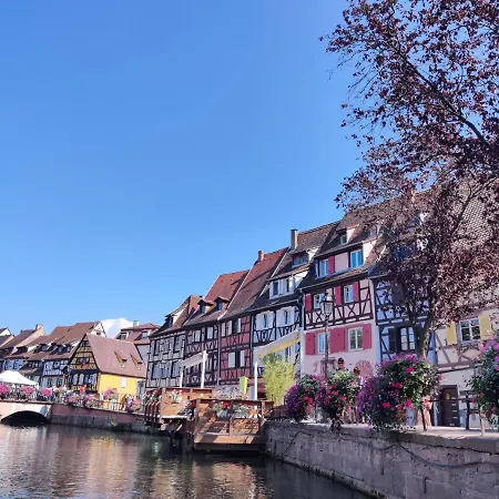 Au Kugelhopf Doré - Centre Historique Colmar