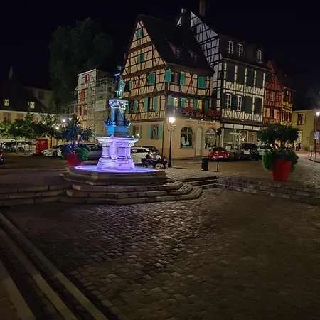 Au Kugelhopf Dore - Centre Historique Apartman *