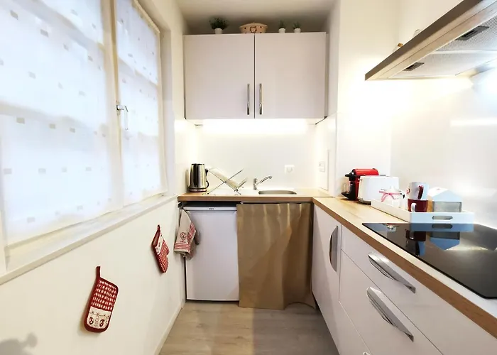 Apartamento Au Kugelhopf Dore - Centre Historique *