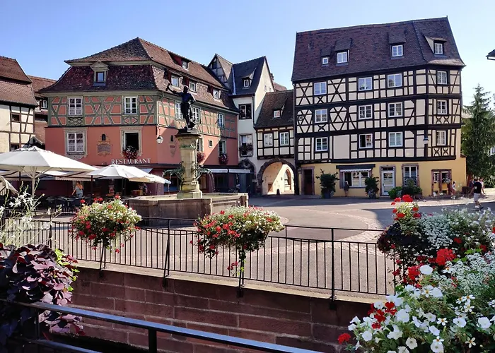 Apartamento Au Kugelhopf Dore - Centre Historique *