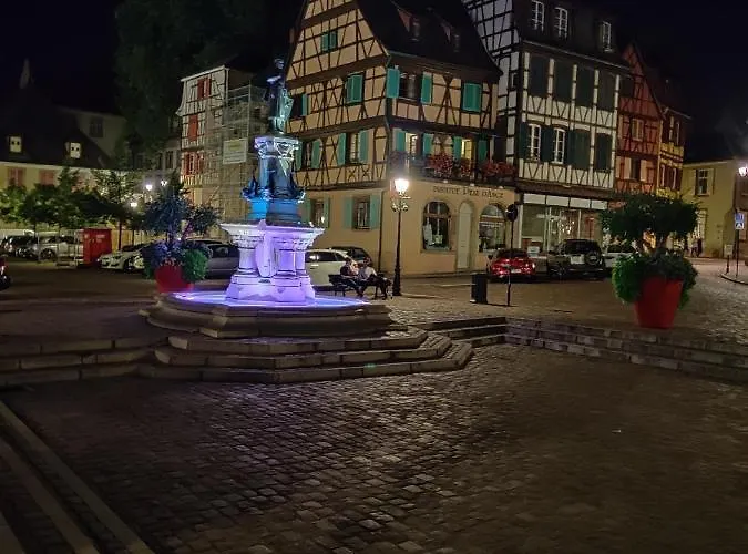 Au Kugelhopf Dore - Centre Historique Apartamento *